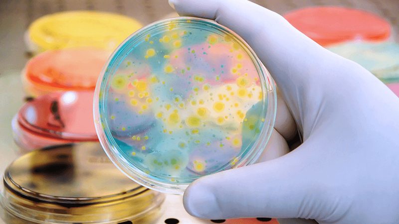 生物科技产品安装服务：揭秘其背后的关键步骤与注意事项**