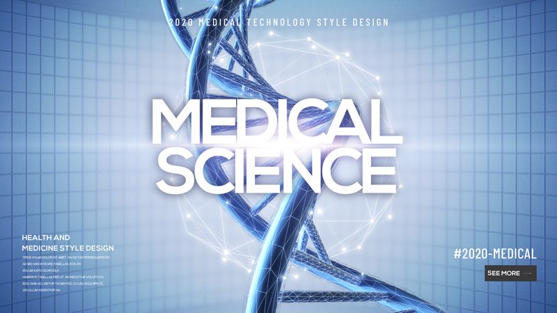 CDMO服务流程：揭秘药物研发的“加速器