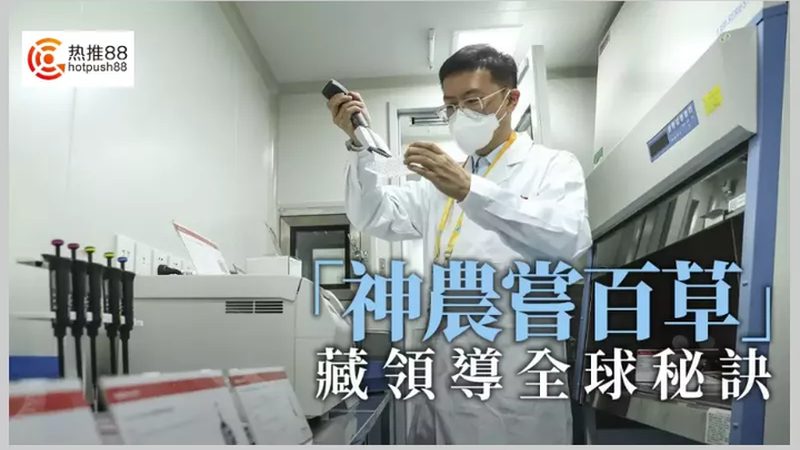 新冠抗体检测试剂盒：揭秘十大品牌背后的技术奥秘