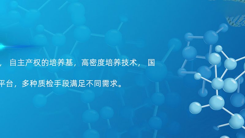 连接酶最佳温度设置：关键因素与优化策略**