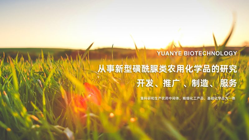 细胞培养基如何选择：适用细胞类型的差异解析**