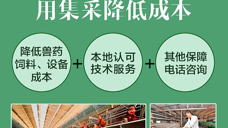 北京生物试剂耗材：揭秘其区别与选购要点