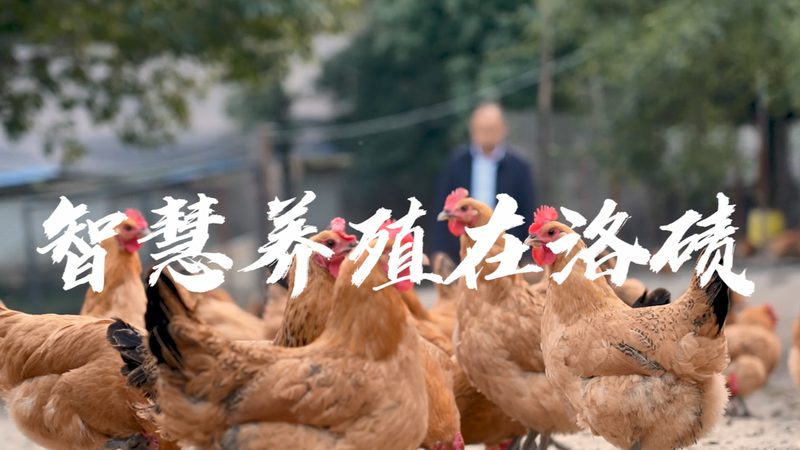 北京生物制品厂家排名背后的考量因素**