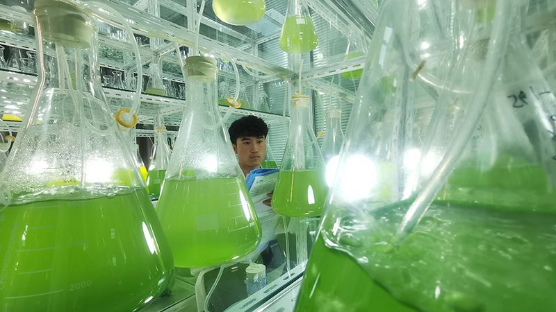 基因检测与基因编辑：揭秘精准医疗的未来钥匙